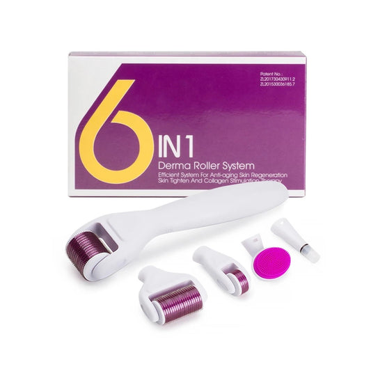 6 in 1 Micro-Needling System