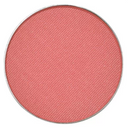 Bermuda Eyeshadow | Summer Collection